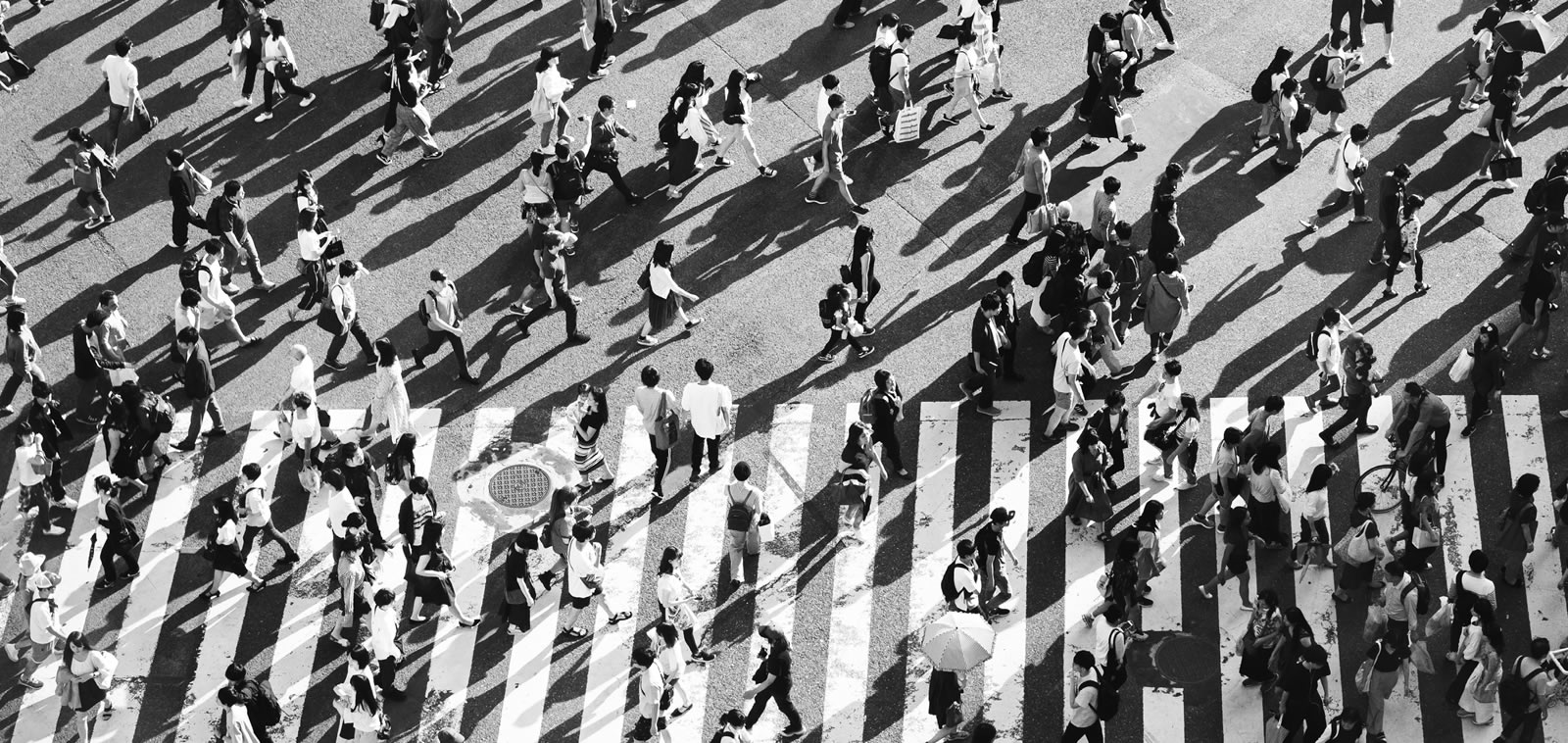I 10 Passi Per Scegliere Il Franchising Giusto.